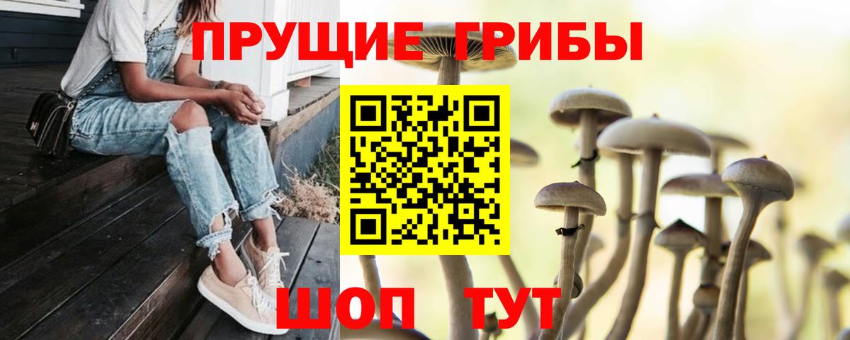 Галлюциногенные грибы мицелий Сегежа